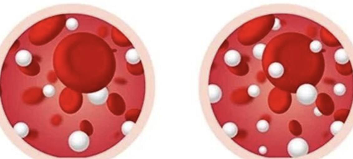 Panduan Latihan Fisik untuk Menjaga Keseimbangan Tubuh